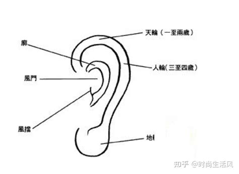 耳廓有痣男|耳朵上面长痣